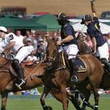 Photoscience - Polo and Wedding photographers in Hampshire Surrey and Sussex